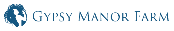 bluelogo2