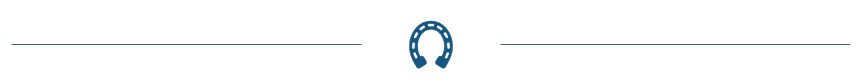 horseshoe1-3